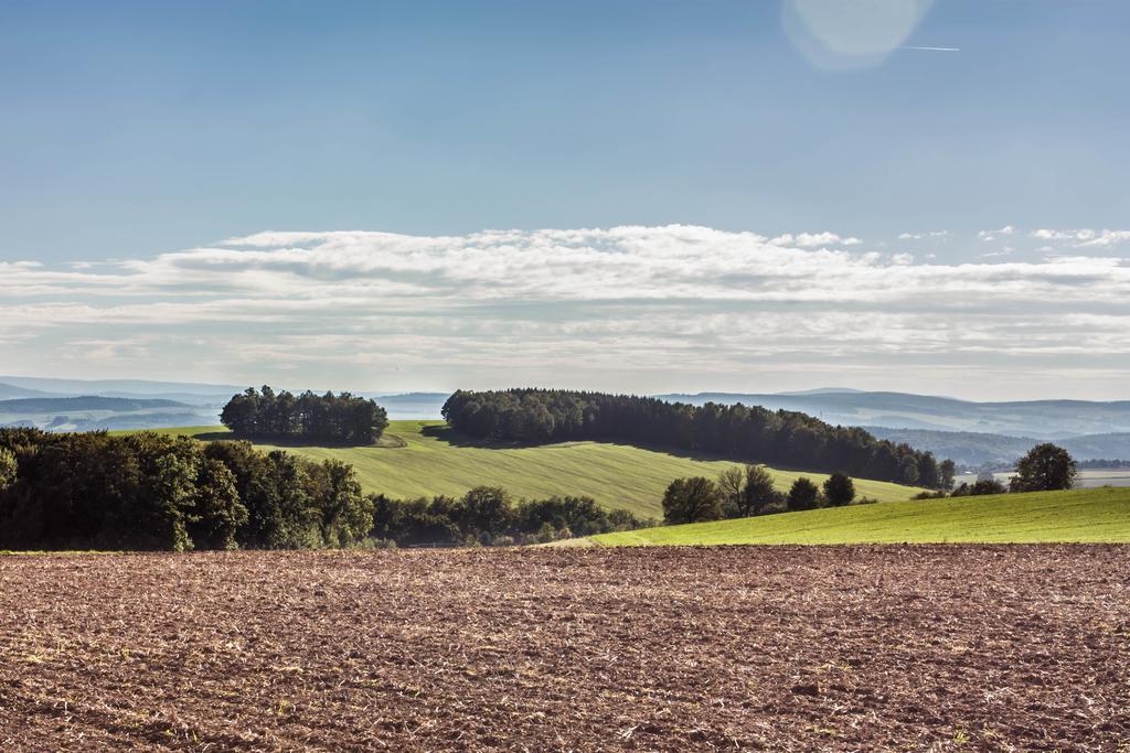 Landhotel Gutshof Hartenstein  Eksteriør bilde
